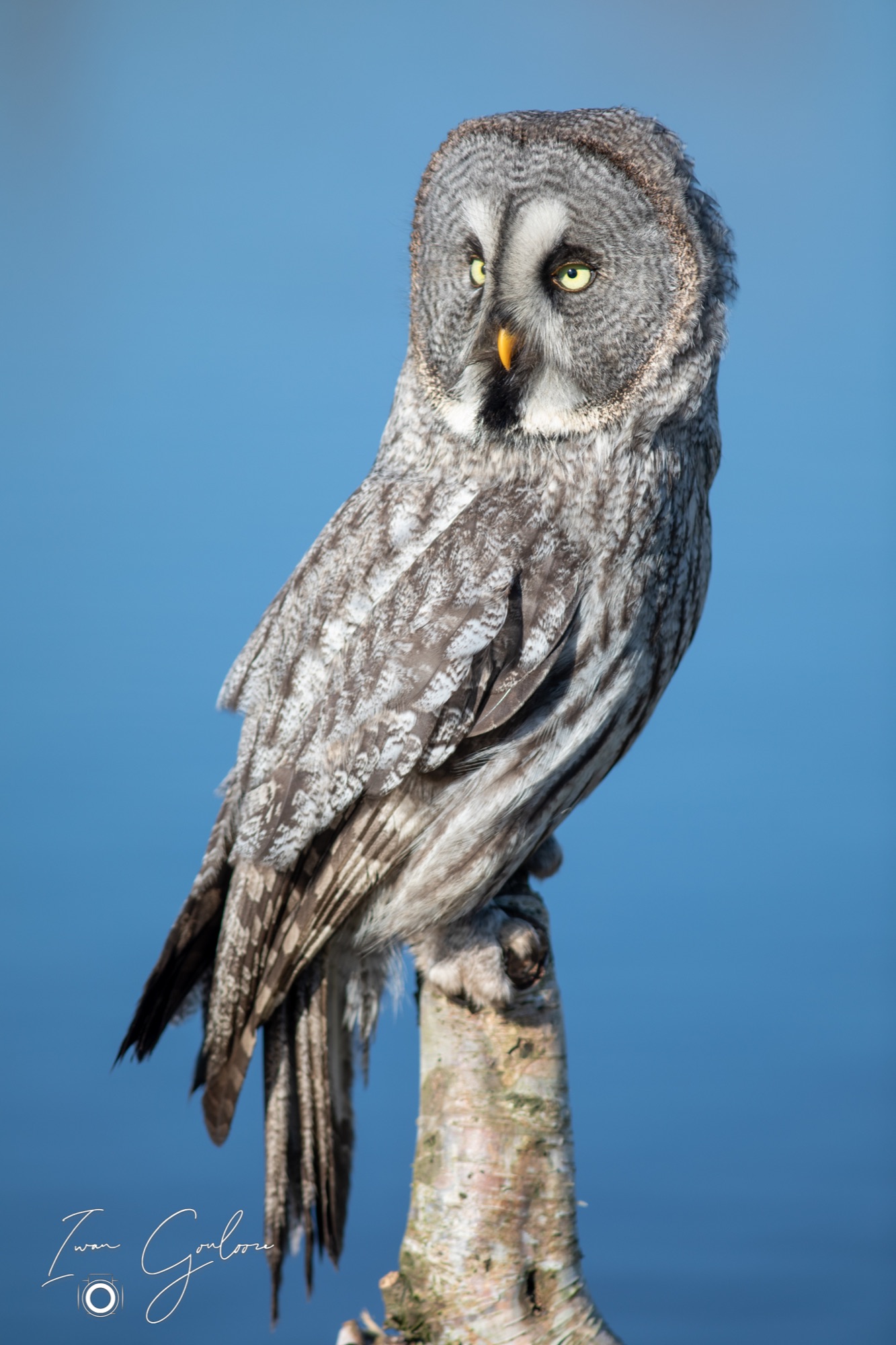 04 maart 2022 153319  5D44199